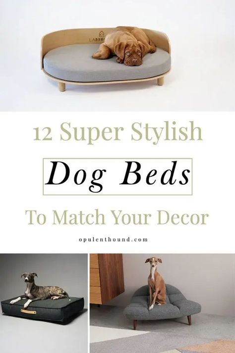 Decorative Dog Bed, Creative Dog Bed, Fancy Dog Beds, Dog Bed Frame, Big Dog Beds, Stylish Dog Beds, Dog Lounge, Custom Dog Beds, Dog Bed Modern