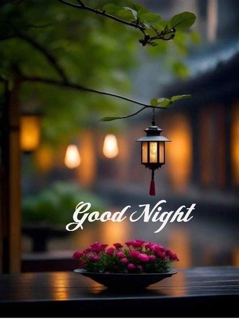 Sweet Good Night Images, Happy Good Night, Sweet Good Night, Sweet Good Night Messages, Romantic Good Night Image, New Good Night Images, Good Night Images Hd, Lovely Good Night, Good Night Wallpaper