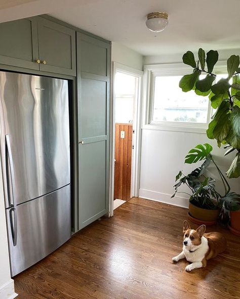 Fridge With Pantry Surround, Fridge Surround Cabinet, Fridge Pantry Wall, Fridge Cabinet Surround, Diy Fridge Surround, Built Kitchen Cabinets, Fridge Surround, Custom Built Kitchen Cabinets, Custom Built Kitchen