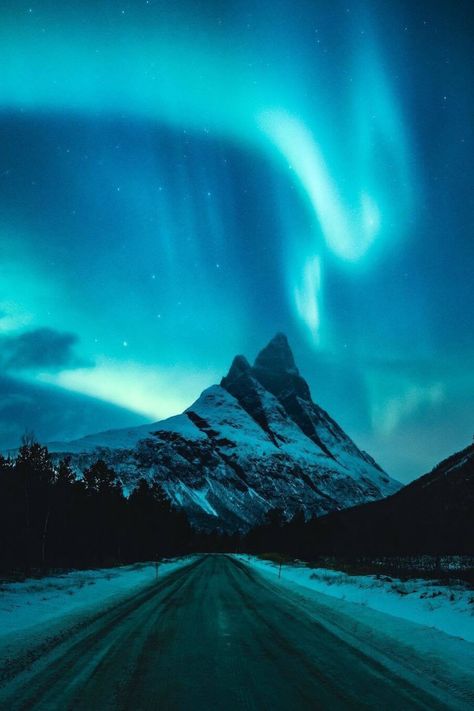 Aurora Borealis Tattoo, Aurora Borealis From Space, Aurora Borealis Alaska, Aurora Borealis Painting, Aurora Borealis Art, Lights In The Sky, Alaskan Malamute Puppies, Northern Lights (aurora Borealis), Aurora Borealis Northern Lights