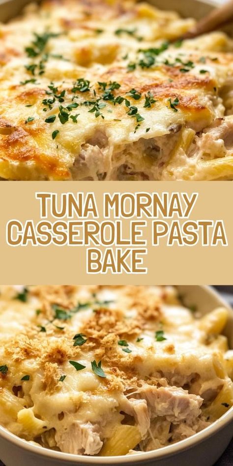 🧀 Craving comfort food? Try this Tuna Mornay Casserole Pasta Bake, a creamy, cheesy dish that’s perfect for family dinners or meal prep! Loaded with tender pasta, flavorful tuna, and a golden-brown cheesy topping, this recipe is an easy crowd-pleaser. Tap to get the full recipe and make dinner a breeze tonight! #TunaMornay #CasseroleRecipes #ComfortFood #PastaBake #FamilyDinner #EasyWeeknightMeals 🍝 Tuna Casserole For One, Cheesy Tuna Pasta Bake, High Protein Tuna Casserole, Tuna Tettrazini, Baked Tuna Casserole, Tuna Mornay Pasta Bake, Tuna Tetrazzini, Creamy Tuna Casserole, Tuna Pasta Casserole