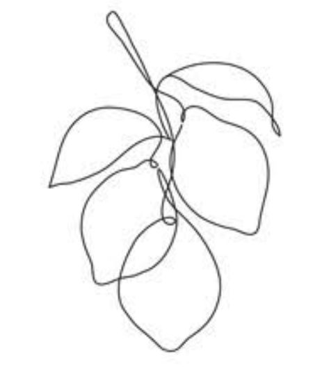 Lemon Outline, Lemon Line Drawing, Lemon Tree Tattoo Minimalist, Lemon Branch Tattoo, Lemon Tree Tattoo, Lemon Tattoo, Basic Tattoos, Branch Tattoo, Lemon Art