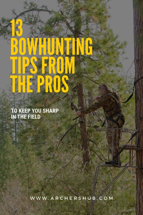 Many professional archers are also bowhunters. In this article, we reached out to 13 professional archers to get their top bowhunting tips to help you in the field. // bow hunting for beginners // bow hunting tips // bow hunting // bowhunting tips // bowhunting // bowhunting gear // #bowhuntingtips #bowhunting #archerytips #archeryideas #archery Bow Hunting For Beginners, Bowhunting Gear, Bow Hunting Tips, Bow Hunting Gear, Archery Tips, Hunting Stuff, Traditional Bow, Bowhunting, Hunting Tips