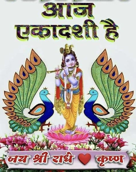 Happy Ekadashi Images, Ekadashi Images, Good Morning Krishna, Good Day Wishes, All Mantra, Shakti Goddess, Hindi Good Morning Quotes, Happy Birthday Photos, Baby Krishna