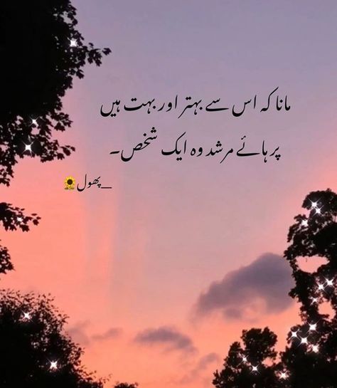 Murshad 💫 Murshad Shayari, Murshad Poetry, Poetry Ghalib, Urdu Poetry Ghalib, Crush Quotes For Him, Love Romantic Poetry, Soul Poetry, Classy Quotes, Love Poetry Images