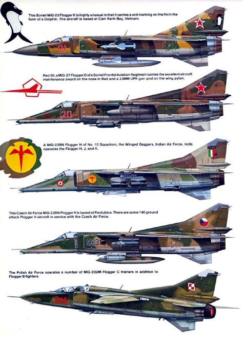 Mig 23, Aircraft Camouflage, Delta Wing, Profile Art, Aircraft Maintenance, Russian Air Force, Airplane Fighter, Indian Air Force, Camouflage Colors