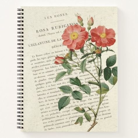 Rose Notebook, Flower Notebook, Vintage Notebook, Writing Pad, School Stationery, Notebook Cover, Stationery Notebook, Page Design, Sign Poster