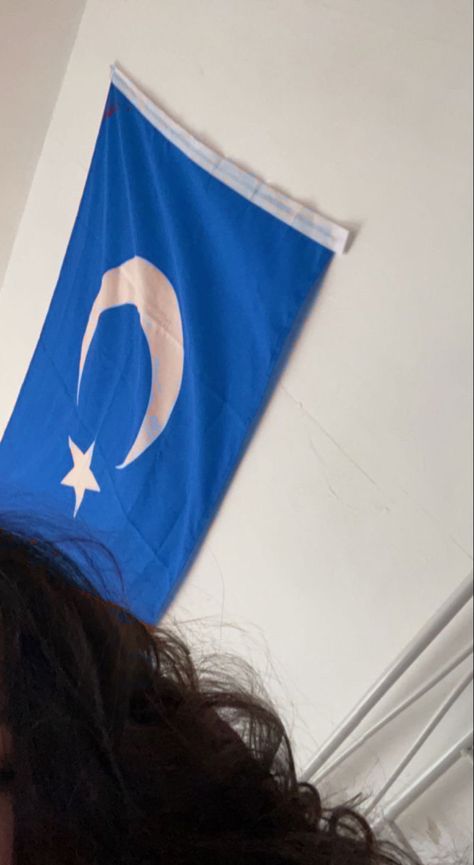 Uyghur Culture, Flag Turkey, Pfp Cool, Turkey Culture, Flag Aesthetic, Wallpaper Pfp, Turkish Flag, Blue Flag, Aesthetic Blue