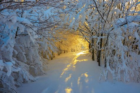 Snowy Path, Snowy Woods, Peak District, Winter Scenery, Winter Beauty, Winter Wonder, Jolie Photo, Alam Yang Indah, Pretty Places