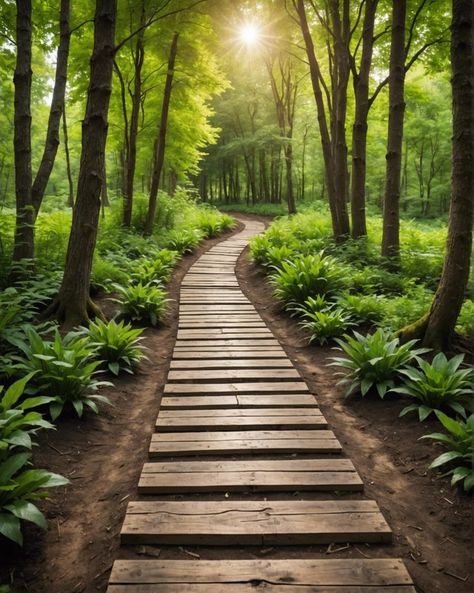 20 Cheap DIY Walkway Ideas - Toolz Geek Walk Path Garden, Backyard Trails Pathways Woods, Diy Pallet Walkway Pathways, Front Sidewalks Ideas, Wooden Plank Walkway, Diy Wood Walkway, Garden Trails Walkways, Diy Walkways Paths Cheap Easy, Landscape Wooded Area