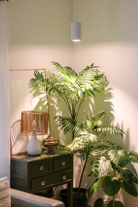 Indoor Plant Lights, Bedroom Plants Decor, Indoor Grow Lights, Plant Styling, Best Grow Lights, Best Led Grow Lights, Tattoo Plant, Corner Plant, Grow Light Bulbs