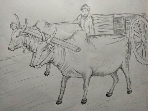 Agriculture Art Paintings, Ox Drawing, Tamil Greetings, Word Art Drawings, Bullock Cart, Sketch Tutorial, Shading Drawing, Cow Drawing, Organic Market