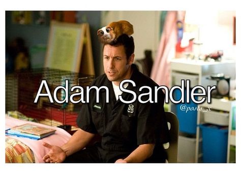 •Adam Sandler• Bedtime Stories Movie, Adam Sandler Movies, Josh Gad, 50 First Dates, Kevin James, The Wedding Singer, Family Movie Night, Adam Sandler, Family Movies