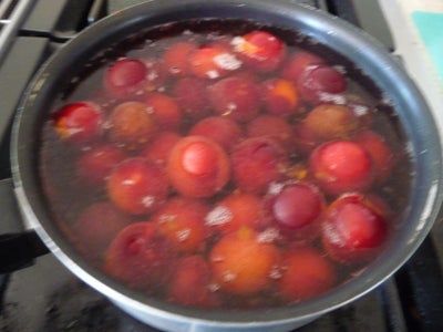 Wild Plum Jam (with Pictures) - Instructables Wild Plum Jam Recipe, Wild Plum Jelly Recipe, Wild Plum Jam, Plum Freezer Jam, Bread Pudding Recipe Easy, Wood Cabins, Plum Chutney, Plum Jam Recipes, Traditional Thanksgiving Dinner