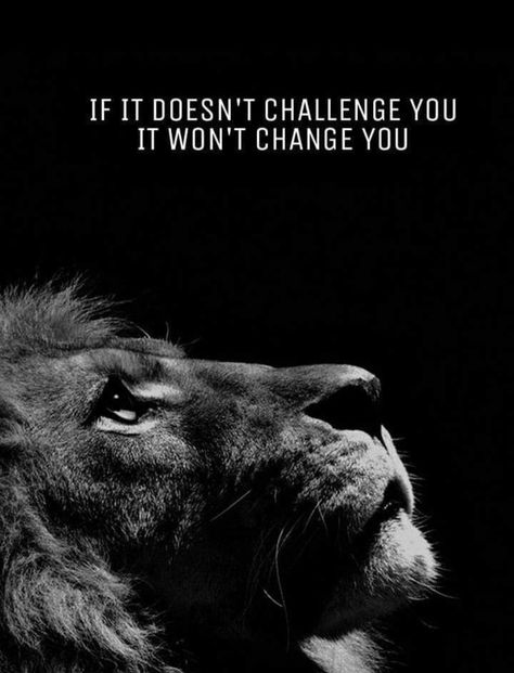 Lion Wallpaper With Quotes, Lion Motivation Wallpaper, Mens Motivational Wallpaper, Powerful Motivational Quotes For Success Wallpaper, Fitness Motivation Wallpaper Hd, One Line Motivation, Motivational Wallpaper Men, Leadership Wallpaper, Motivational Quotes For Success Wallpaper