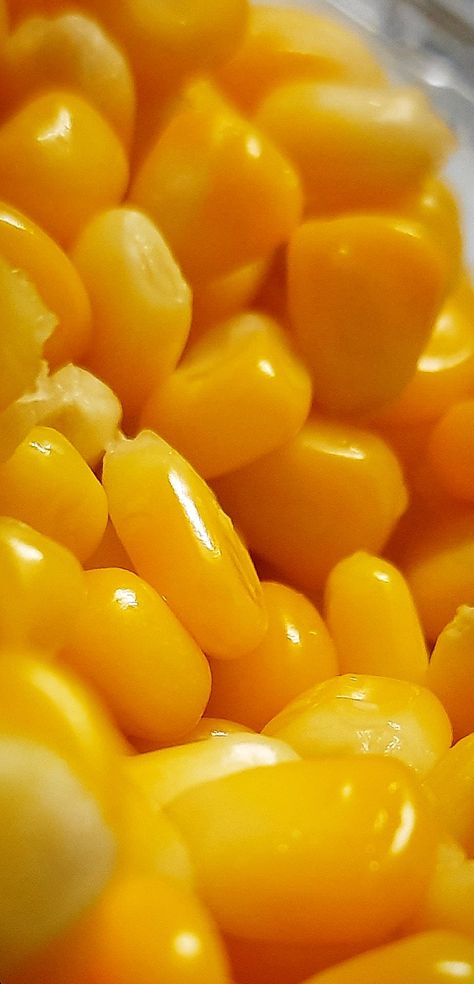 Corn Aesthetic, Moodboard Art, Coat Aesthetic, Yellow Corn, Color Aesthetic, Yellow Foods, Food Gallery, Color Vibe, Art Food