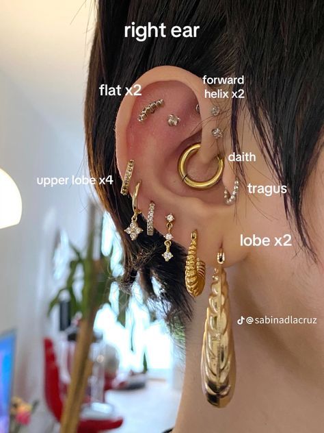 Where Should I Get My Ears Pierced, Earring Names Chart, Ear Peirce Chart Pain, Piercing Chart Ear Labeled, Peircings Earring Ideas Names, Eat Peircings Women, Eat Piercing Placement Chart, Ear Piercing Ideas Chart Names, Earring Placement Chart