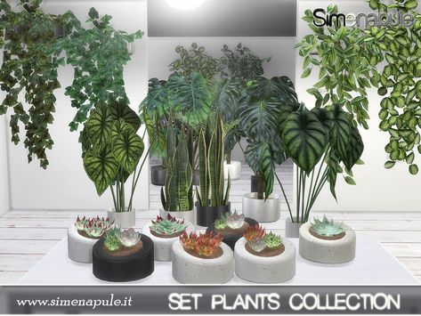 The Sims Resource - Plants Collection The Sims 4 Garden, Sims 4 Cc Garden, Sims 4 Plants Cc, Sims Layout, The Sims 3 Cc, Background Furniture, Sims 3 Cc, Furniture Cc, Grass Plants