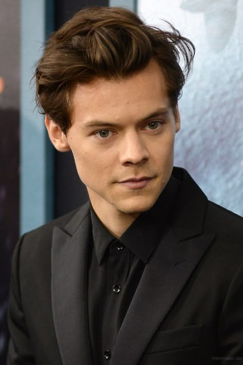 Harry Styles Photo Wall, Hair Ideas Male, Dunkirk Premiere, Hs1 Harry, Harry Styles Images, Prince Hair, 1d Harry Styles, You're So Golden, Harry Core