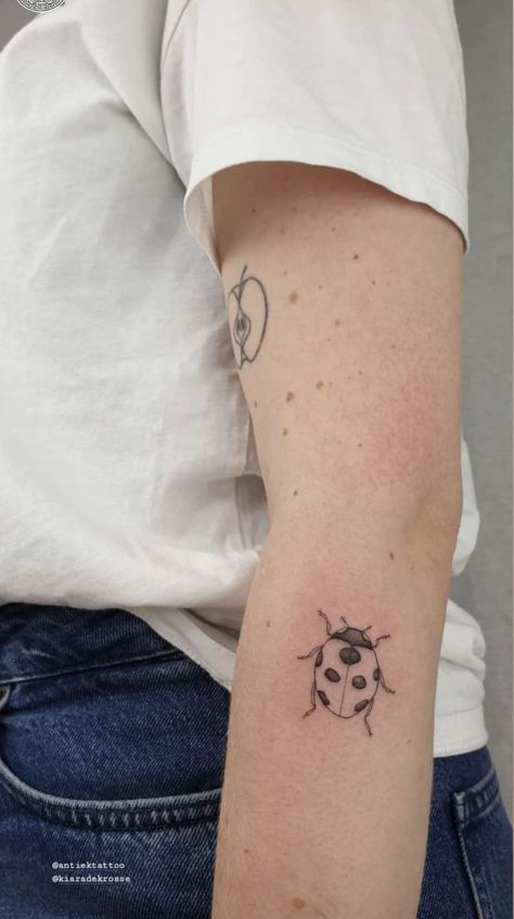 Ladybird Tattoo, Small Animal Tattoos, Fierce Tattoo, Tattoo Designs Drawings, Dainty Tattoo, Ladybug Tattoo, Tiny Tats, Father Tattoos, Animal Tattoo Ideas