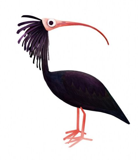 Northern Bald Ibis by Brendan Wenzel Ibis Illustration, Brendan Wenzel, Animal Character Design, Bird Artists, Art Beat, Animals Illustration, Jane Goodall, Animal Character, Funny Birds