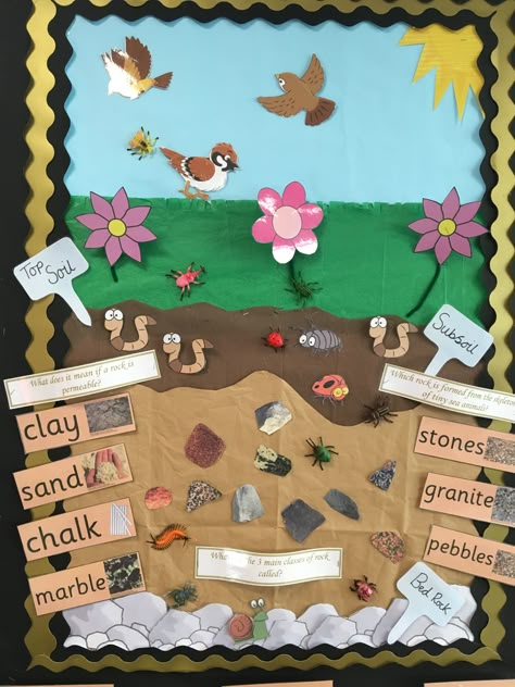 Rocks Display Year 3, Rocks And Soils Year 3, Geology Projects, Plant Science Fair Projects, Soil Activities, Ks2 Science, Different Types Of Rocks, Science Display, Rock Science