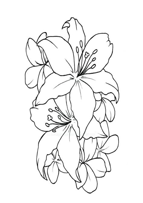 Tattoo Outline Simple, Flower Tattoo Outline, Flower Outline Tattoo, Lotus Flower Outline, Flowers Outline, Lotus Flower Drawing, Simple Flower Tattoo, Art Outline, Lilies Drawing