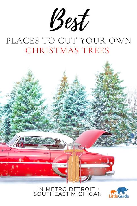 Winter is here & Christmas is right around the corner which means now is the time to bundle up the kids, hop in the car, and head to one of these amazing u-pick farms to find the perfect Christmas tree! Click to see the ultimate list of where to find a Christmas tree in southeast Michigan + Detroit. Make a day of it and enjoy a wagon ride, visit with Santa, & delicious hot cocoa at some of these local destinations. #winter #detroit #michigan #christmastree #tree #treefarms #detroitmichiganwinter Christmas Tree Essential Oil Blend, Christmas Tree Essential Oil, Winter Family Activities, Christmas Tree Smell, Diy Diffuser Blends, Christmas Tree Farms, Christmas Diffuser Blends, Michigan Detroit, Christmas Tree Scent