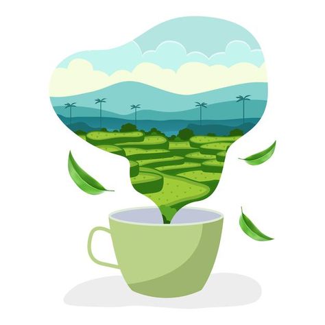 Tea Farm Illustration, Cup Of Tea Illustration, Matcha Latte Art, Tea Drawing, Brand Deck, Farm Illustration, Tea Book, Background Banner Design, Road Vector