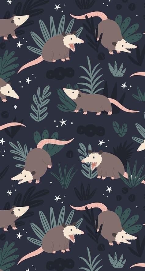 Backgrounds Funny Wallpapers, Possum Background, Cute Possum Art, Animal Wallpapers For Phone, Opossum Wallpaper, Possum Wallpaper, Notebook Paper Wallpaper, Wallpaper Backgrounds Pattern, Silly Wallpapers