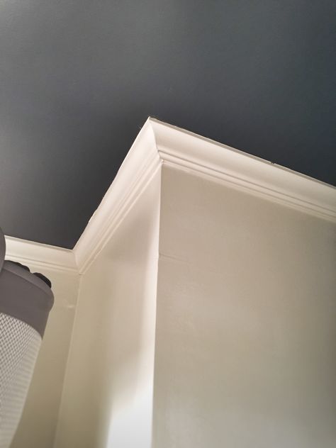 Bedroom Dark Ceiling Light Walls, Painted Color Ceiling, Dark Ceiling Laundry Room, Color Painted Ceiling, Dark Room Ceiling Color, Painted Ceiling With Crown Molding, Dark Ceiling Paint Ideas, Dark Painted Ceiling Living Room, Room With Dark Ceiling