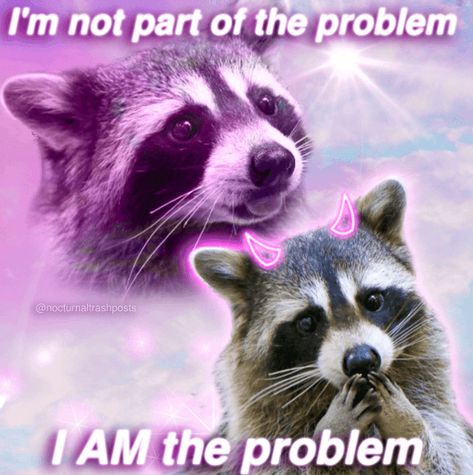 I Am The Problem, Gasai Yuno, Awesome Possum, Wrong Number, Cute Raccoon, Raccoon Funny, Trash Panda, Silly Animals, Racoon