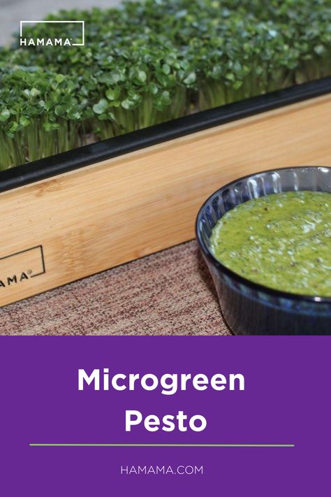 Enjoy this spin on the classic pesto. Instead of basil use your favorite Microgreens. It’s amazing! Microgreen Pesto Recipe, Vegan Pho Soup, Microgreen Recipes, Microgreens Recipe, Vegan Pho, Pesto Recipes, Pho Soup, Growing Microgreens, Lemon Basil