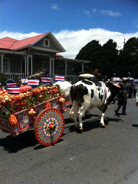 Desfile de boyeros y carretas típicas. Costa Rica, Pura Vida 👍 Panama Canal Cruise, Costa Rica Pura Vida, Panama Canal, Costa Rican, Central America, World Travel, Costa Rica, Folk Art, Cool Pictures