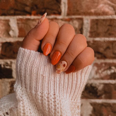 Fall Nail Inspo..🍁 I just realized I never shared my new nail set! I don’t get my nails done often enough, but after seeing the AMAZING job my new nail tech did, I may be obsessed.🧡 She did a beautiful job making my fall-themed nails come to life. I am so in love with how they came out!🍁 Now to decide what to do for Halloween.🤔 Any suggestions? #fall #autumn #halloween #spookyseason #spookyszn #spooky #aesthetic #fallaesthetic #autumnaesthetic #halloweenaesthetic #leaves #fallnails #nailar... Fall Themed Nails Autumn, Fall Aesthetic Nails, What To Do For Halloween, Summer Pedicures, New Nail Tech, Aesthetic Fall Nails, Fall Nail Inspo, Spooky Aesthetic, Summer Pedicure