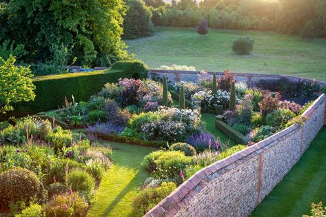 The gardens at The Old Rectory, East Woodhay: The creation of an owner with a designer's eye and a true feeling for plants - Country Life Hardy Geranium, Stone Pool, Blue Hibiscus, Old Orchard, Walled Garden, Clay Soil, The Far Side, Country Gardening, Clematis