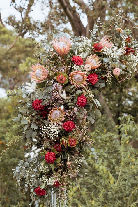 Max and Ophelia's wedding arbour features red Waratahs, pink King Proteas, white bunny tails and native Gum leaves and pods. Native Australian Flowers, Waratah Flower, Protea Wedding, Mums Wedding, French Country Wedding, Gum Leaves, Sustainable Flowers, Dawn Photography, Flowers For Wedding