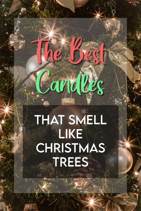 These Are The Best Candles That Smell Like Christmas Trees Pine Tree Candle, Christmas Tree Smell, Evergreen Candle, Homemade Candle Recipes, Pine Scented Candle, Peppermint Candles, Pine Candle, Cheap Candles, Christmas Tree Scent