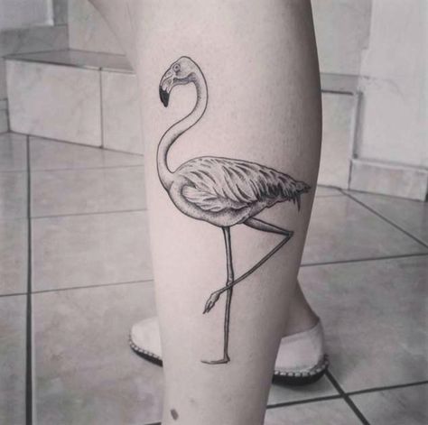 Flamingo Flamingo Tattoo Black, Leg Tattoo Design, Flamingo Tattoos, Papa Tattoo, Black Flamingo, Tattoo On Leg, Flamingo Tattoo, Watercolor Flamingo, Flamingo Illustration