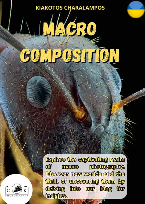 Macro photography reveals hidden worlds, but only with the right composition. Learn how to create eye-catching macro images that stand out. Here's a guide to mastering macro composition:  https://www.photokiakotos.com/the-photographers-blog/macro-photography-composition Photography Frame, Macro Images, Composition Tips, Magnified Images, Composition Techniques, Photography Composition, Fill The Frame, Macro Shots, Rule Of Thirds