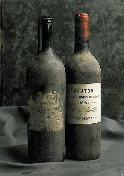 Out of the Cellar Old Wine Bottles, French Wine, Wine Cheese, Wine Time, Vintage Wine, Wine And Dine, Wine Making, Cabernet Sauvignon, Fine Wine