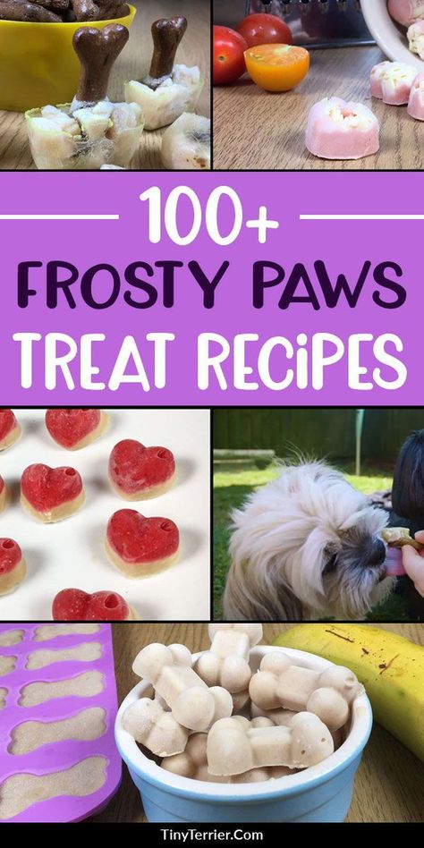 Ladybug Recipes, Recipes For Dog Treats, Dog Treats For Summer, Frosty Paws Recipe, Homemade Frozen Dog Treats, Frozen Dog Treats Homemade, Frosty Paws, Animal Tips, Puppy Things