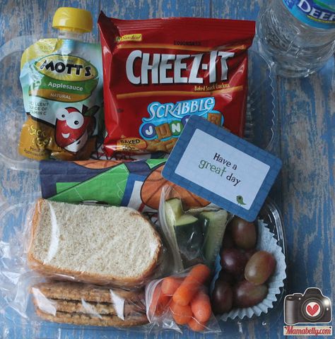 Disposable Field Trip Lunches - served in disposable containers (with packing instructions) Field Trip Snacks Ideas, Field Trip Sack Lunch Ideas, School Field Trip Lunch Ideas, Sack Lunch Ideas For Kids, Sack Lunch Ideas, Homeschool Lunches, Field Trip Lunch, Sack Lunches, Lunch Stuff