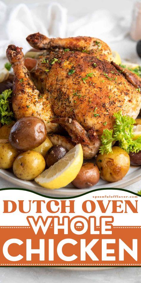 Try this dutch oven whole chicken recipe for Easter dinner idea! Dutch oven whole chicken gives you a tender meat and flavorful crispy skin. Your guests will surely love it. Save this Easter main dish recipe! Oven Chicken Recipe, Oven Whole Chicken, Dutch Oven Whole Chicken, Dutch Oven Roast Chicken, Whole Roast Chicken, Dutch Oven Chicken, Oven Chicken Recipes, Whole Chicken Recipes, Whole Roasted Chicken