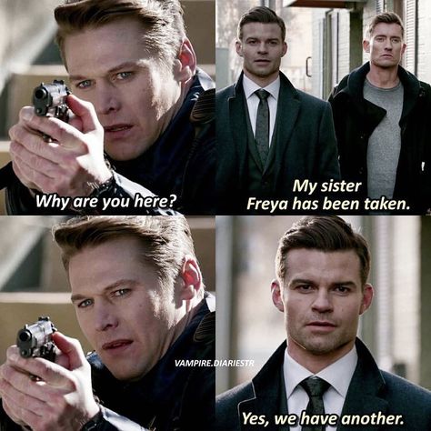 Originals Memes Funny, The Originals Memes Funny, Tvd Memes Funny, Tvd Imagines, Tvd Season 7, Fandom Quotes, Vampire Diaries Memes, The Mikaelsons, Elijah Mikaelson