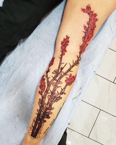 Desert Wildflower Tattoo, Sonoran Desert Tattoo, Creosote Tattoo, Ocotillo Tattoo, Desert Flower Tattoo, Southwest Tattoo, Tucson Tattoo, Ocotillo Plant, Desert Tattoo