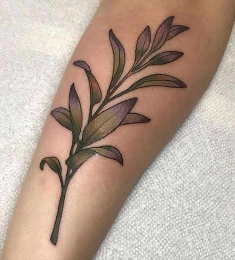 Sage Leaf Tattoo, Sage Bundle Tattoo, Sage Tattoo, Lobster Tattoo, Green Tattoo, Illustrative Tattoo, Botanical Tattoos, Green Tattoos, Cute Henna Tattoos