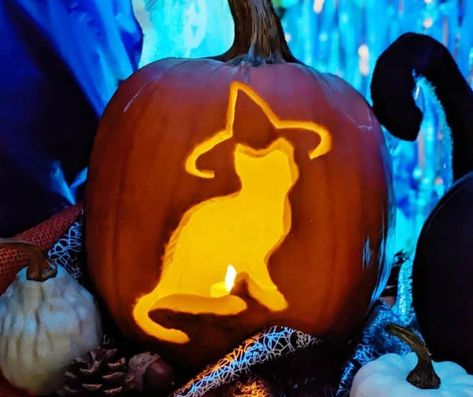 Pumpkin Carving Inspo Easy Cute, Cat Themed Pumpkin Carving, Pumkin Carving Cats, Easy Animal Pumpkin Carving Ideas, Vet Med Pumpkin Carving, Carved Cat Pumpkins, Simple Carved Pumpkins Ideas, Rat Pumpkin Carving Ideas, Free Cat Pumpkin Carving Stencils