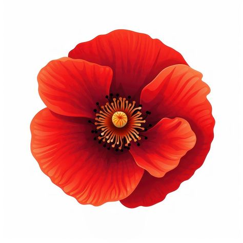 Poppy flower petal plant. AI generated Image by rawpixel. | free image by rawpixel.com / Boom Poppy Pictures, Poppies Flower, Poppies Art, Vera Lynn, Tattoo Project, Flower Petal, Poppy Flower, Flower Petals, Anemone