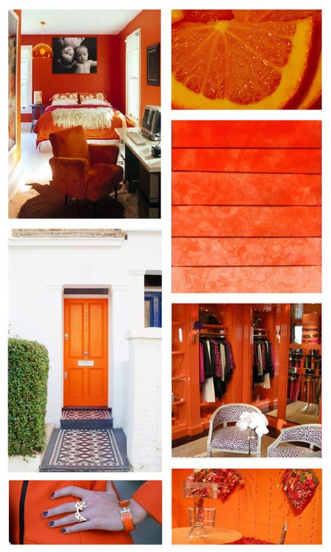 Colour Of The Month: Orange Nectar 2013-20 #BenjaminMoore #Colour #HomeDecor #InteriorDesign #Inspiration from Mountain Home Decor in #Whistler BC Mountain Home Decor, Benjamin Moore Colors, Front Door Colors, House Paint, Mountain Home, Door Color, Low Country, Shades Of Orange, Vibrant Orange